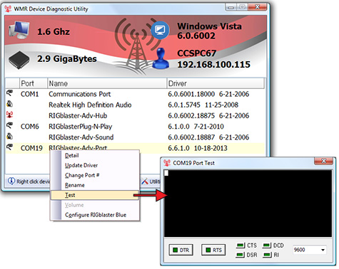 COM Port Test Window